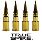 Spike or Bullet Valve Stem Kit
