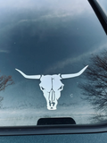 Longhorn Skull